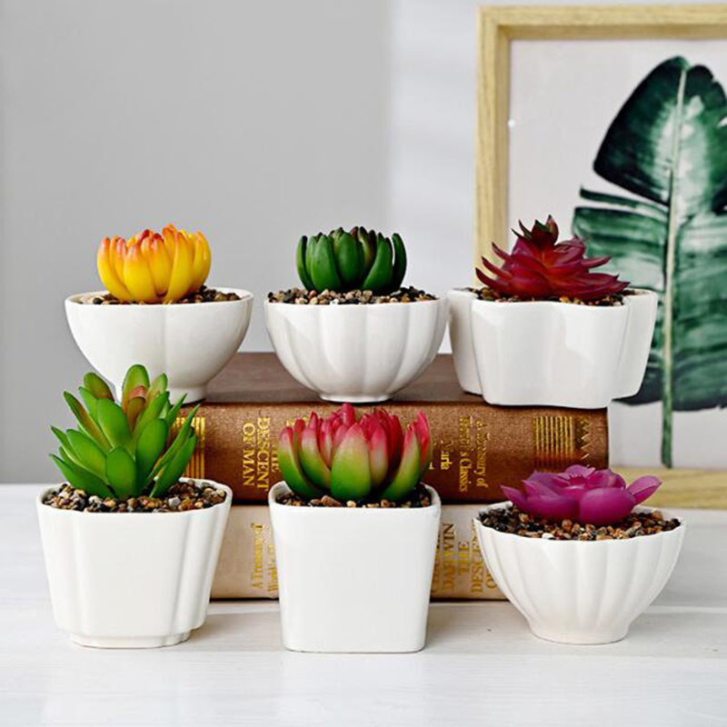 Bonsai Garden Europe - 6 Pcs/Set White Porcelain Succulent Plant