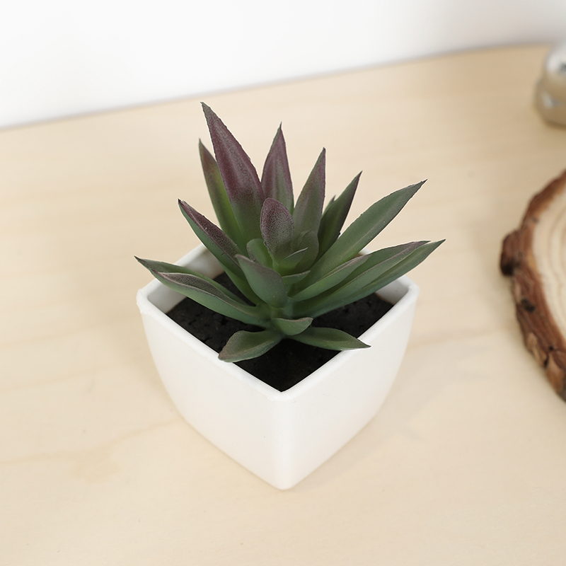 Bonsai Garden Accessories - Mini Artificial Succulent Fairy Cup Small
