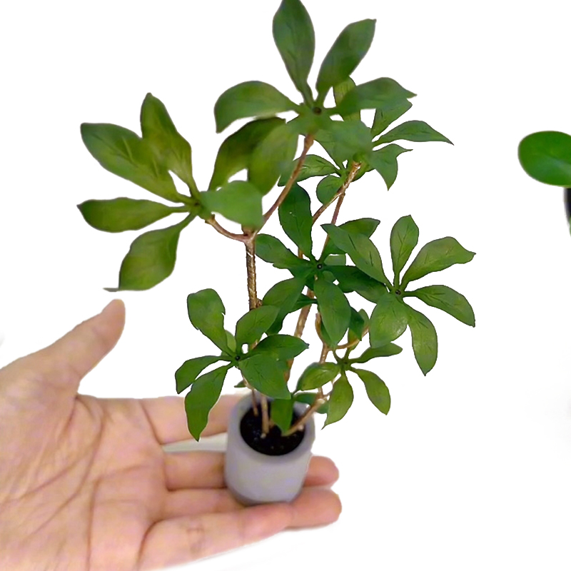 1:6 Dollhouse Miniature Potted - Bonsai Garden Ideas ulasan dan harga