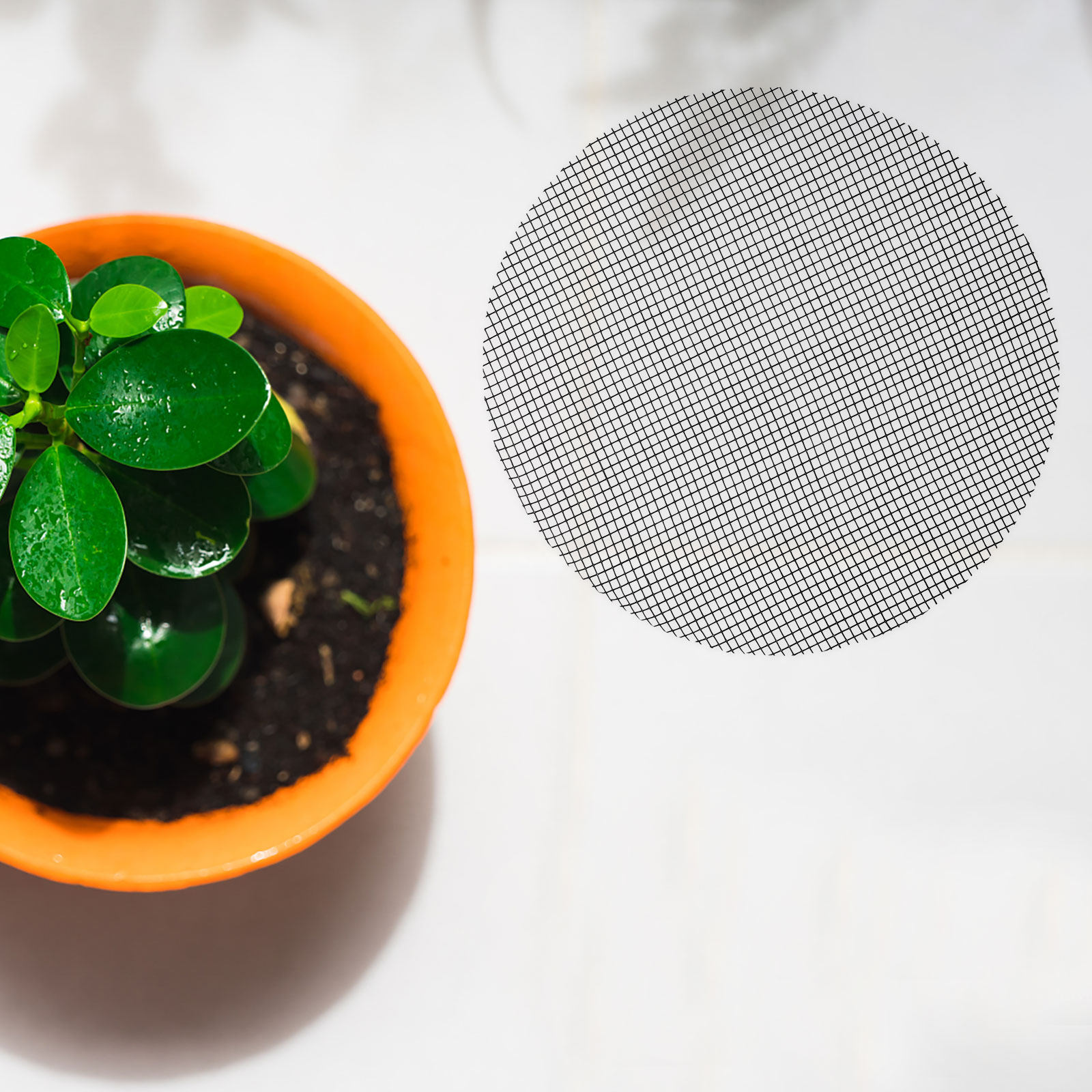 50Pcs Flower Pot Hole Mesh Pad - Us Bonsai Garden ulasan dan harga