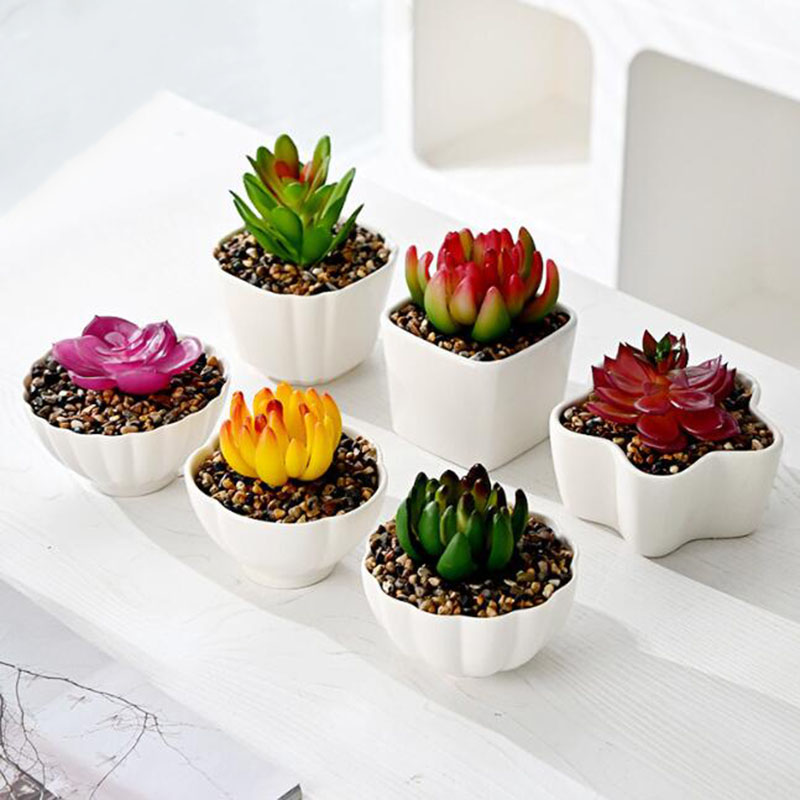 6 Pcs/Set White Porcelain Succ - Bonsai Garden Europe ulasan dan harga
