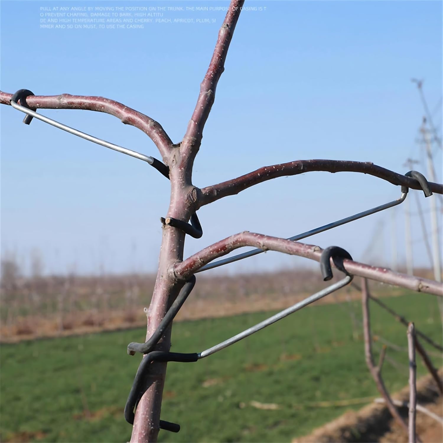 Adjustable Fruit Tree Branch S - Us Bonsai Garden ulasan dan harga