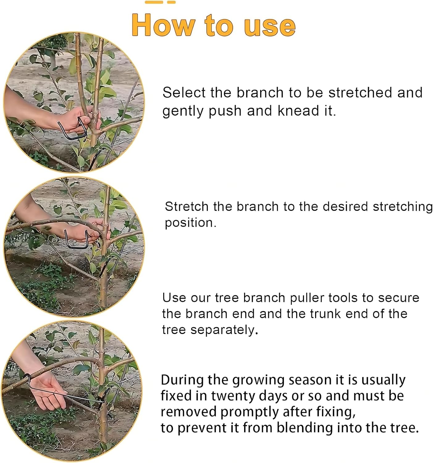 Adjustable Fruit Tree Branch S - Us Bonsai Garden ulasan dan harga