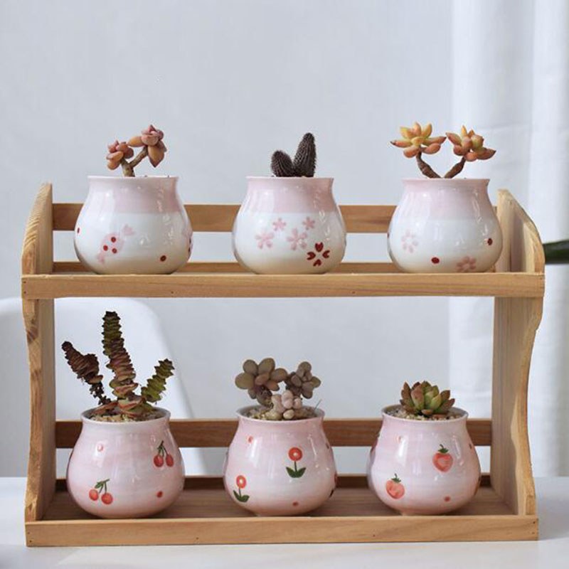 Cute Pink Girl Heart Series Fl - Bonsai Garden Europe ulasan dan harga