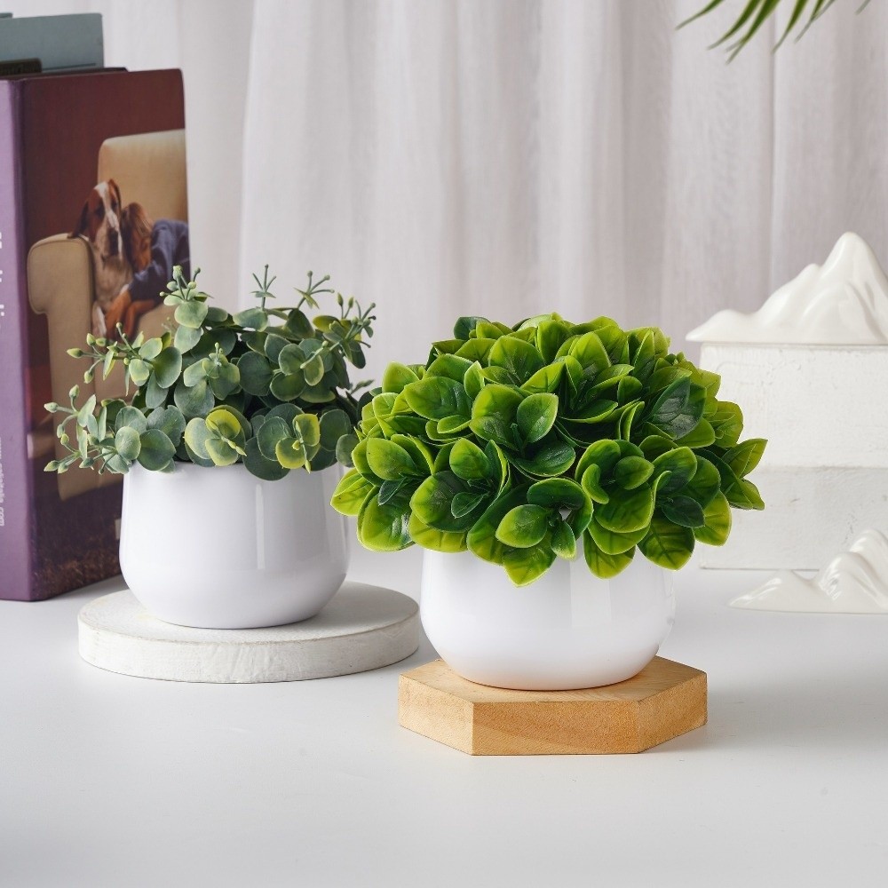 Simulation Plastic Plant Artif - Bonsai Garden Accessories ulasan dan harga