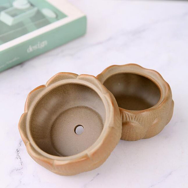 Coarse Pottery Lotus Green Pla - Bonsai Garden Europe ulasan dan harga