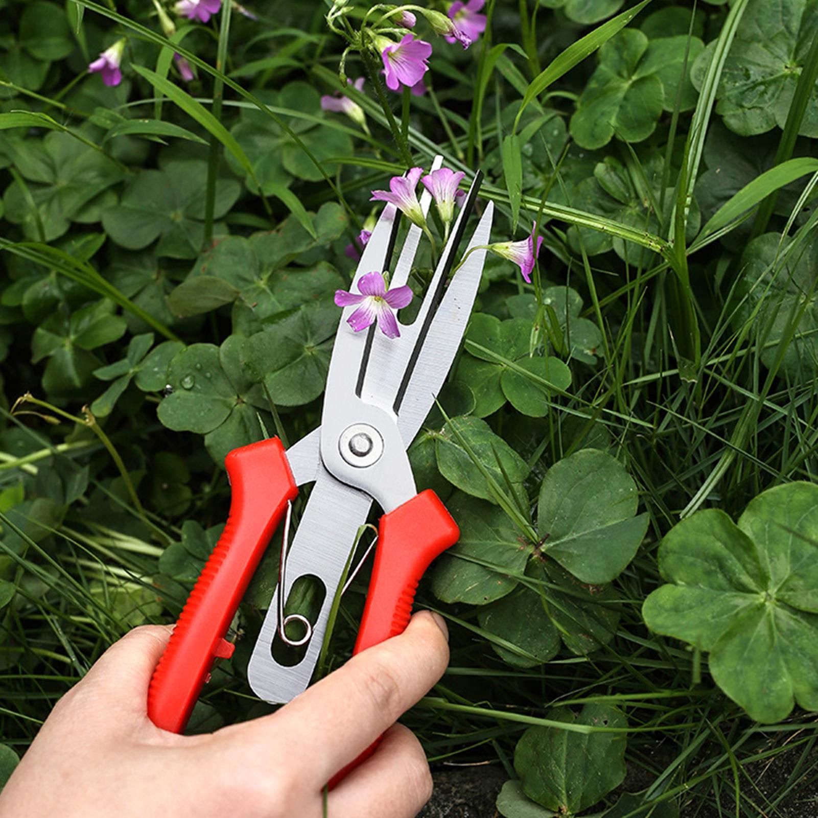 Garden Shears Stainless Steel  - Us Bonsai Garden ulasan dan harga