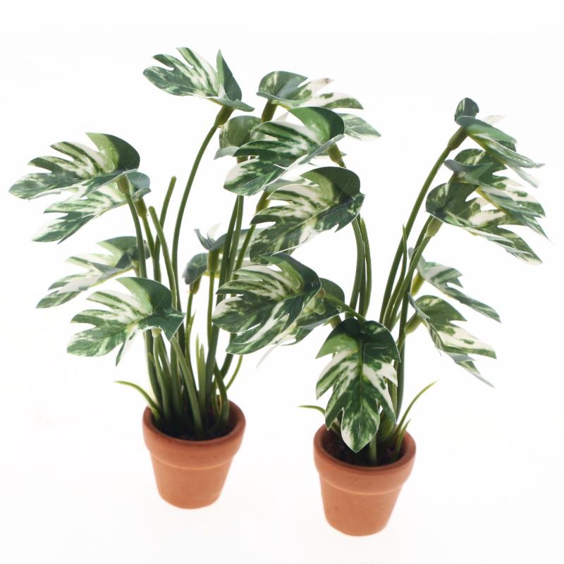 New.1PC 1/12 Dollhouse Simulat - Us Bonsai Garden ulasan dan harga