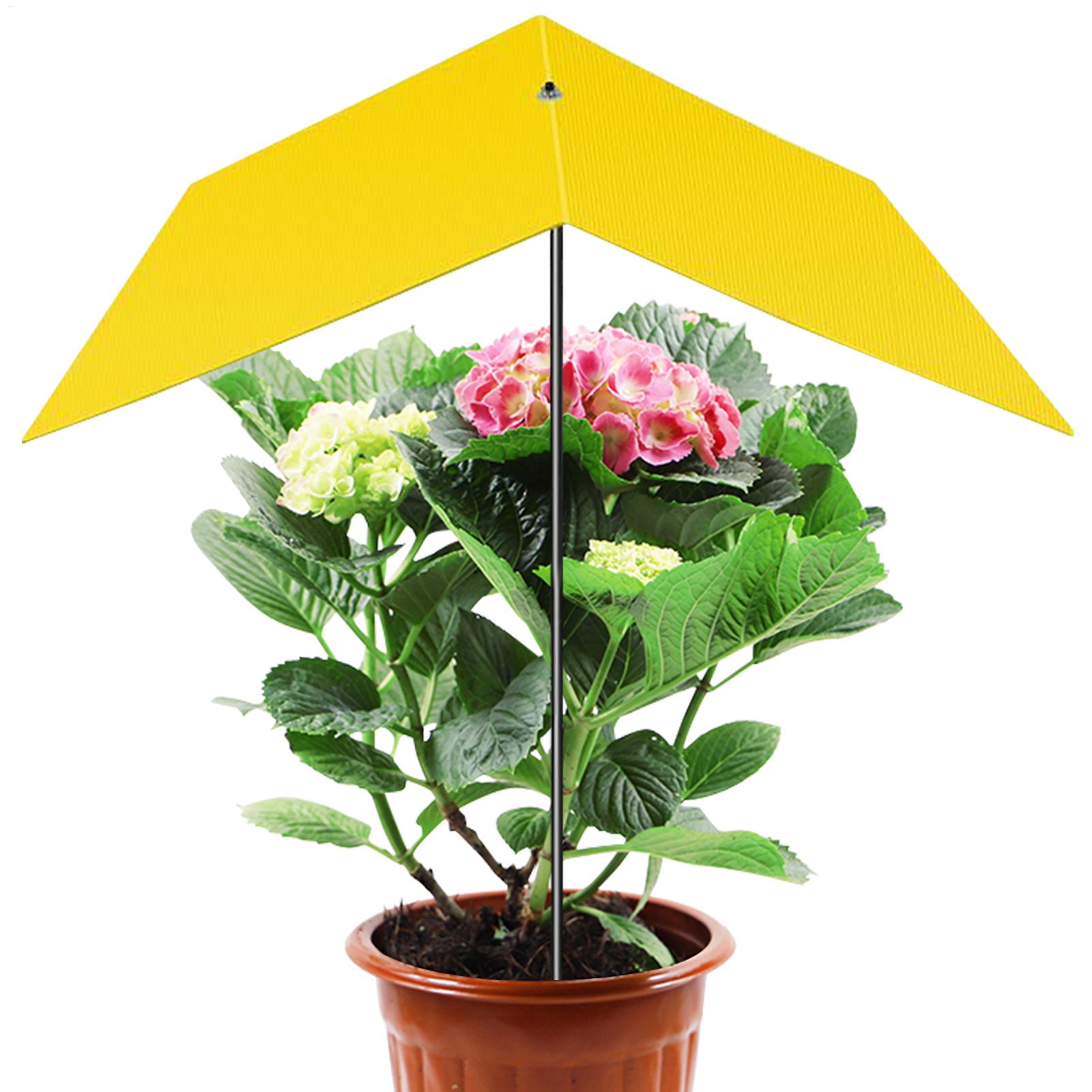 Umbrellas For Outdoor Plants U - Bonsai Garden Backyard ulasan dan harga